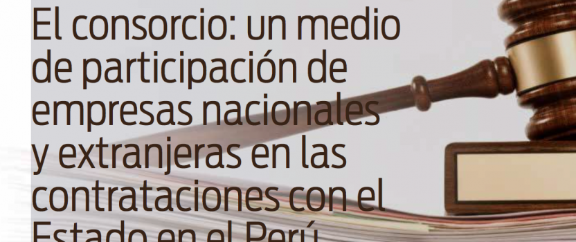 Le consortium dans les appels d´offres <br>avec l´État péruvien
